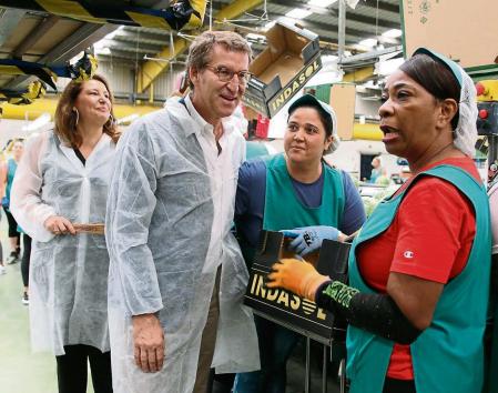 El presidente del PP, Alberto Núñez Feijóo, durante su visita a la empresa Indasol, donde ha mantenido un encuentro con empresarios del sector agrícola a 15 de junio del 2022 en El Ejido (Andalucía, Almería) 15 JUNIO 2022 Rafael González / Europa Press 15/06/2022