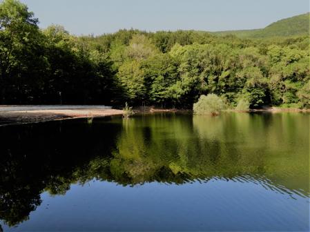 El refrescante entorno del pantano de Santa Fe.