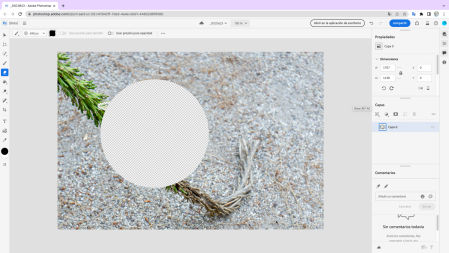 Imagen de Photoshop ejecutándose en la web.