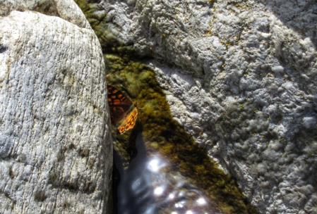 La pequeña Suiza catalana.