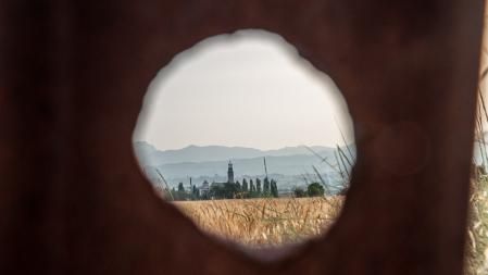 Campos de trigo en Manlleu.