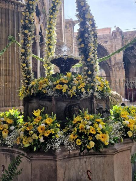 Ou com balla en la Catedral de Barcelona.