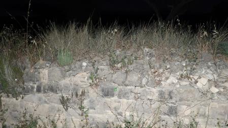 Solución al Reto visual de la libélula.