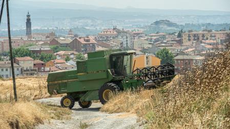 Siega en los campos de Manlleu.