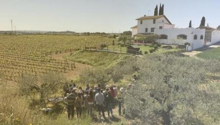 20% de descuento en todas las actividades en Cellers Carol Vallès