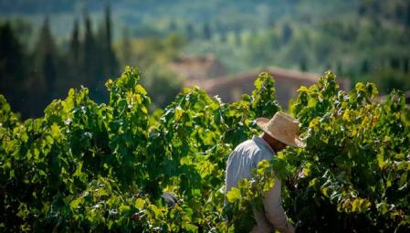 25% de descuento en la visita a las Bodegas Sumarroca
