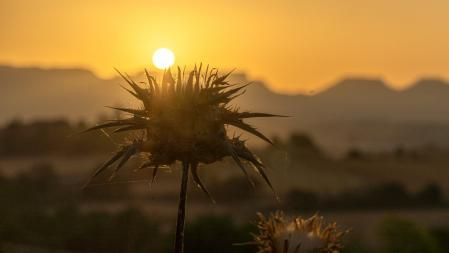 Amanecer primaveral en Manlleu.