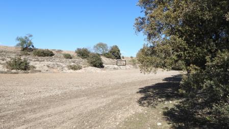 Solución al Reto visual de los corzos.