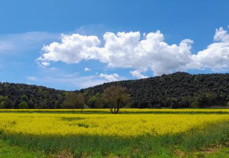 Primavera en La Garrotxa.