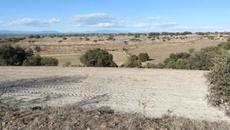 La posición del conejo señalizada.