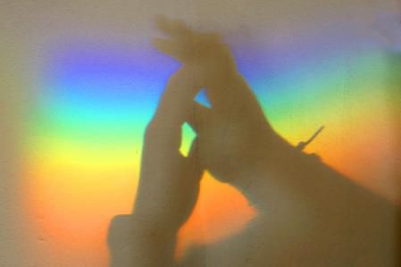 Día Internacional del Orgullo LGBT.