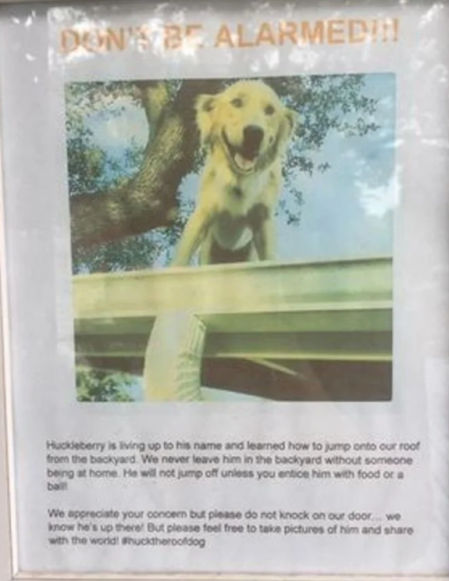 El cartel de Huckleberry