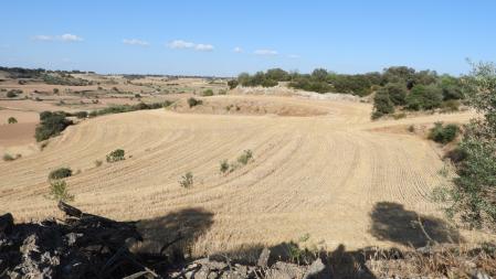 Reto visual: ¿Eres capaz de ver a los dos conejos?