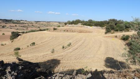Solución al Reto con la posición de los dos conejos señalizada.