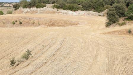 Solución al Reto de los tres conejos.