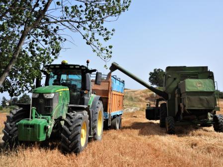 Trabajos de la siega por la mañana.