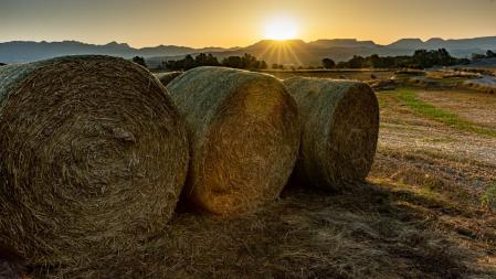 Amanecer tórrido en Manlleu.