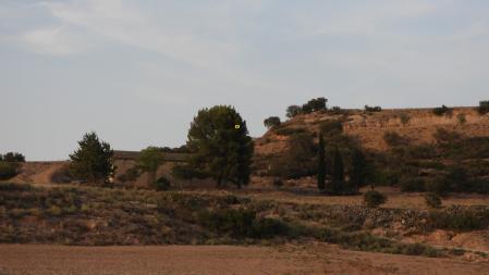 Solución al Reto visual del milano real.