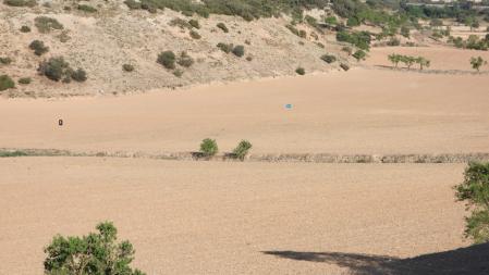 Solución al Reto visual: la posición del zorro y la urraca señalizada.