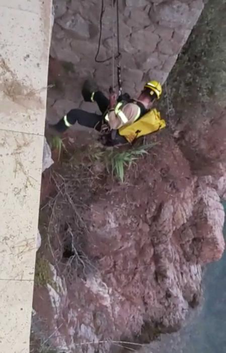 Así fue el rescate de la perra Ío