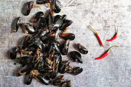 Mejillones