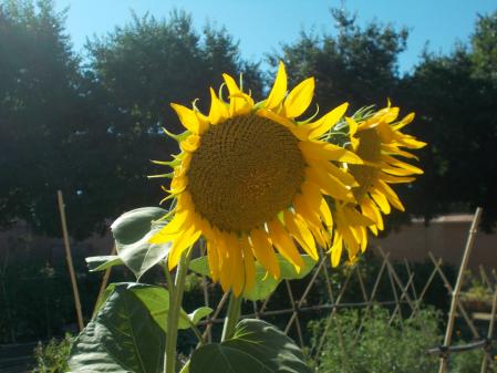 Parque de Quinta de Torre Arias.