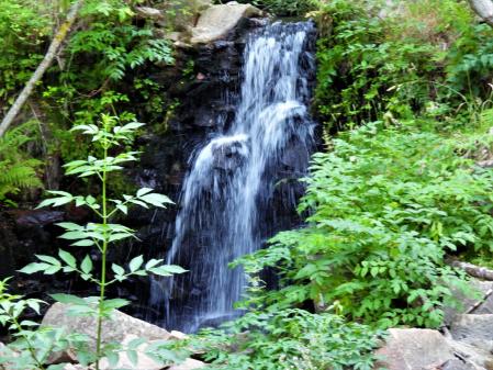 Pantano de Santa Fe.