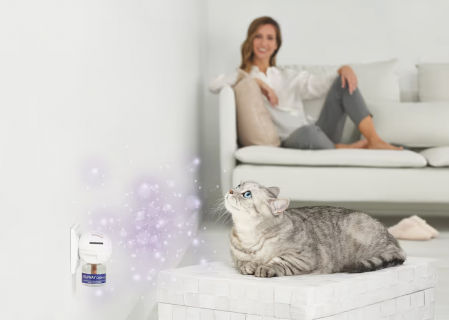 gato oliendo feromonas difusor