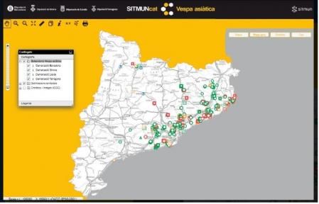Visor de localización de nidos de avispa 'V.velutina'  .