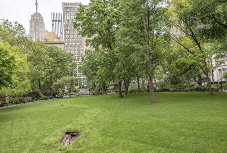 Landscape &amp; Memory (Paisaje y Memoria) en&nbsp;Madison Square&nbsp;