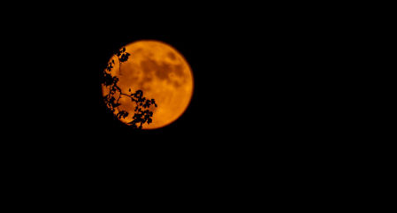 Superluna del ciervo, en Mijas costa.