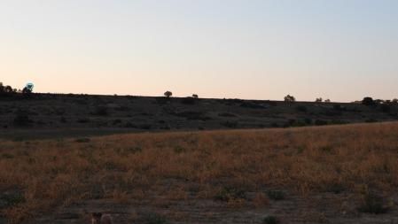 La posición de los cuatro buitres señalizada.