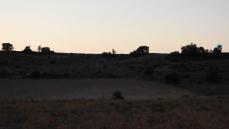 La posición de los cuatro buitres.