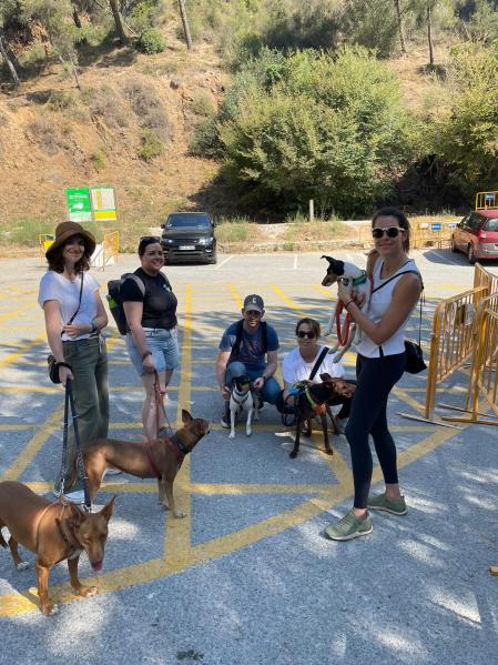 El 74% de la sociedad española cuidaría de las mascotas de sus vecin@s para evitar el abandono animal