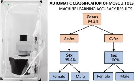 Trampa para mosquitos (izq.) con el nuevo detector en la parte superior y tabla de resultados en la clasificación   .