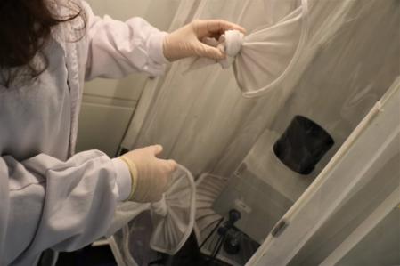 Trabajos de laboratorio en la identificación de mosquitos con el nuevo sistema  .