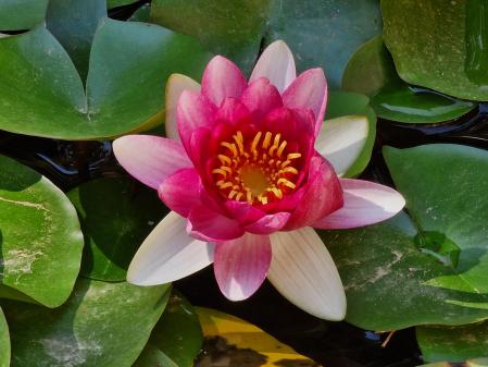 Jardines de Muñoz Ramonet