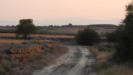 Solución al Reto visual con la posición del zorro señalizada.