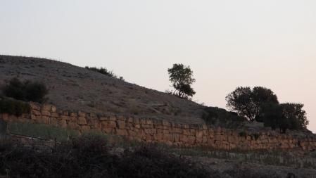 Reto visual: ¿Cuántos conejos eres capaz de ver?