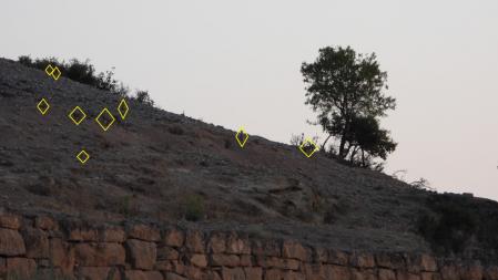 Solución al Reto visual, con los 9 conejos.