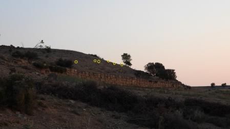 Solución al Reto visual, con los 6 conejos.