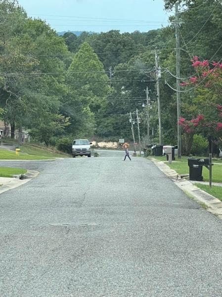 La aparición del ‘Chuky’ ha generado un debate entre los vecinos de la zona