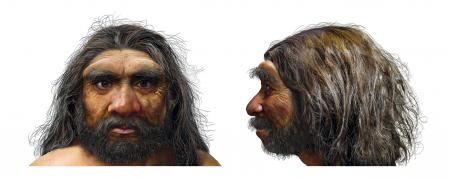 Recreación física de cómo debía ser un ancestro nuestro, a partir del hallazgo de un cráneo