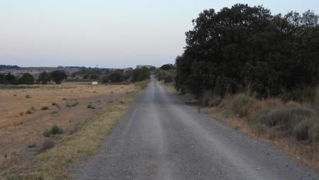 Reto visual: ¿Eres capaz de encontrar al zorro paseando por este paisaje?