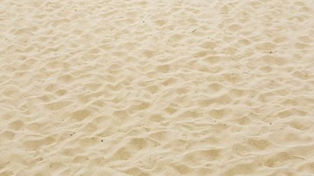 En la arena de la playa se encuentran una gran cantidad de microorganismos