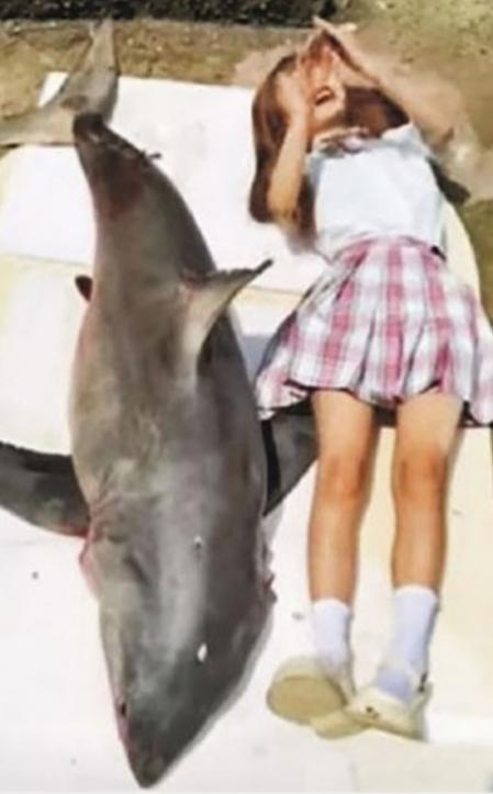 Tizi asegura que compró el tiburón a través de un canal legal