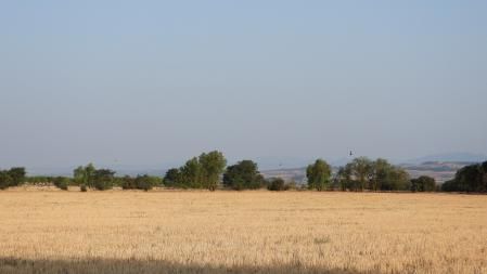 Reto visual: ¿Puedes localizar la torre del Pilar d'Amenara en menos de 30 segundos?