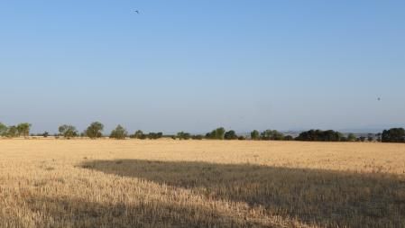 Reto visual: ¿Puedes localizar la torre del Pilar d'Amenara en menos de 30 segundos?
