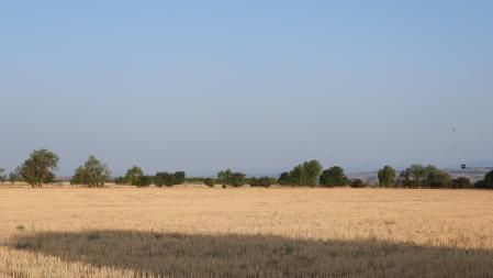 Reto visual: ¿Puedes localizar la torre del Pilar d'Amenara en menos de 30 segundos?