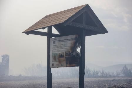 Zona calcinada en el Bastión de la Calderona por el incendio forestal de Bejís